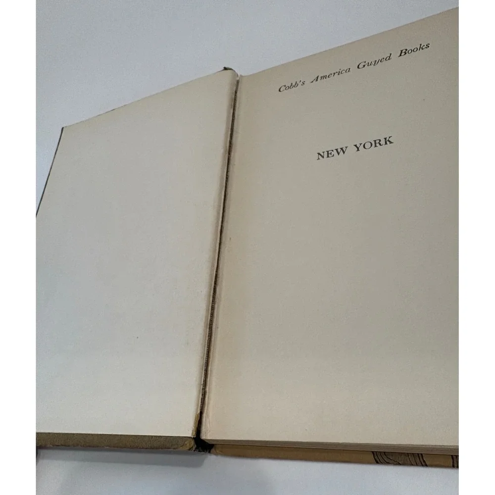 New York by Irvin S. Cobb America Guyed Books George H. Doran 1924 Hardcover